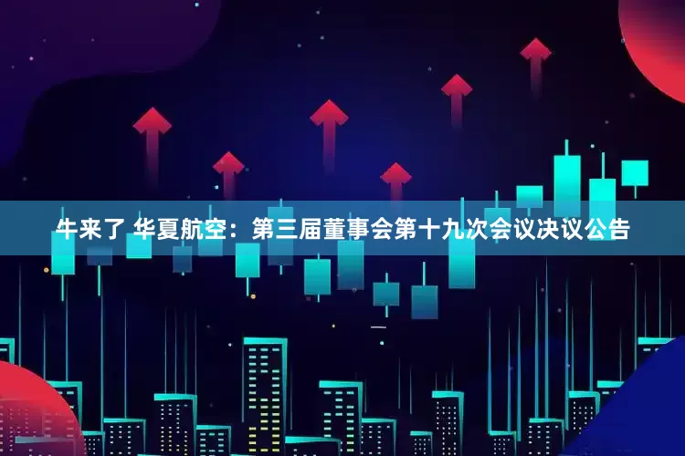 牛来了 华夏航空：第三届董事会第十九次会议决议公告