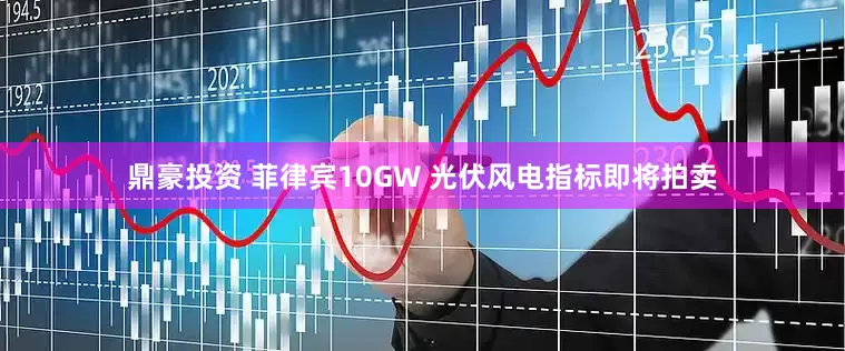 鼎豪投资 菲律宾10GW 光伏风电指标即将拍卖