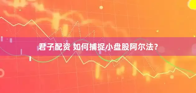 君子配资 如何捕捉小盘股阿尔法？