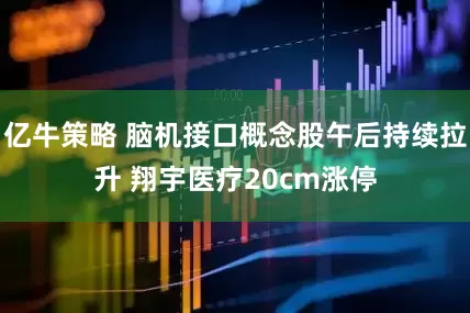 亿牛策略 脑机接口概念股午后持续拉升 翔宇医疗20cm涨停