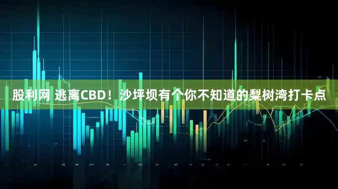 股利网 逃离CBD！沙坪坝有个你不知道的梨树湾打卡点