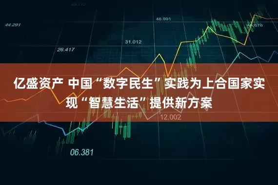 亿盛资产 中国“数字民生”实践为上合国家实现“智慧生活”提供新方案