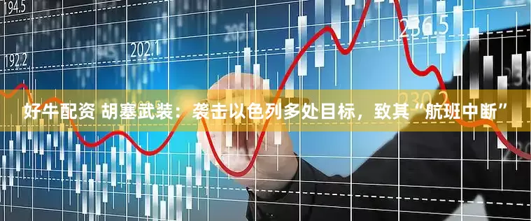 好牛配资 胡塞武装：袭击以色列多处目标，致其“航班中断”
