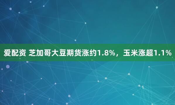 爱配资 芝加哥大豆期货涨约1.8%，玉米涨超1.1%