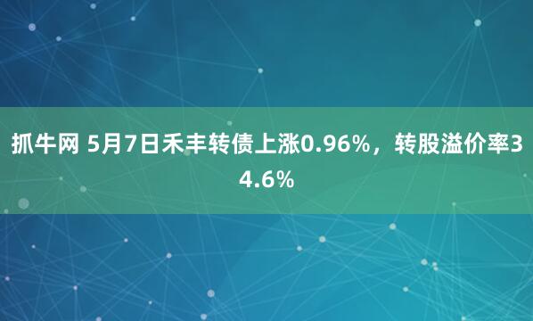 抓牛网 5月7日禾丰转债上涨0.96%，转股溢价率34.6%