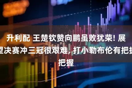 升利配 王楚钦赞向鹏虽败犹荣! 展望决赛冲三冠很艰难, 打小勒布伦有把握