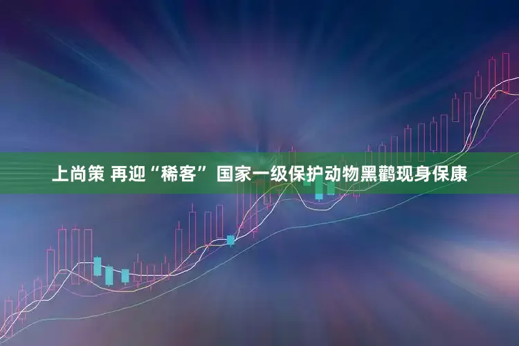 上尚策 再迎“稀客” 国家一级保护动物黑鹳现身保康